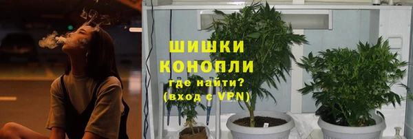 дурь Аркадак