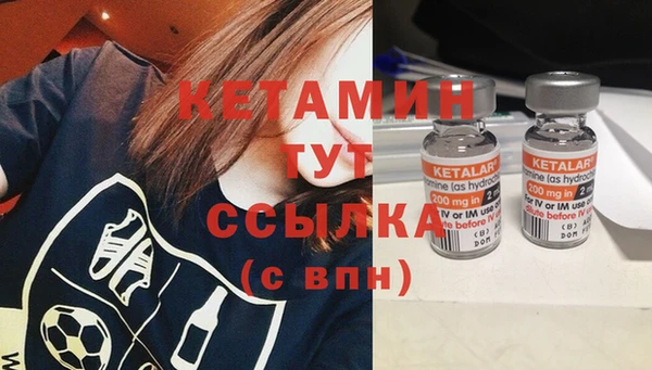 гашик Няндома