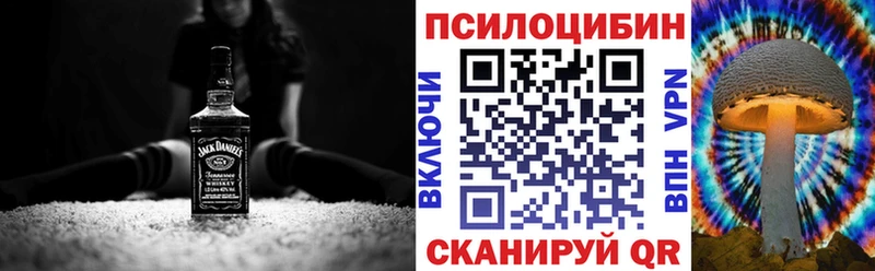 Галлюциногенные грибы Psilocybe  дарнет шоп  Моздок 